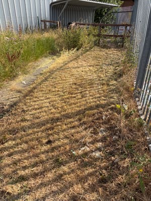 82v Lawn Mower 51cm